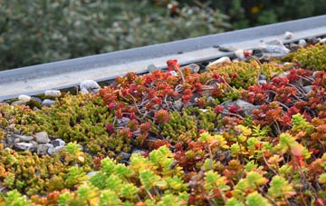 the cost of Thorington green roof installation